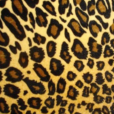 Real Leopard Print