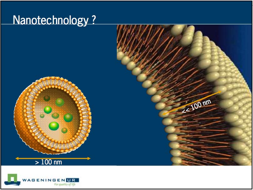 The “nano” in many nanotechnology and food applications is in the structure 