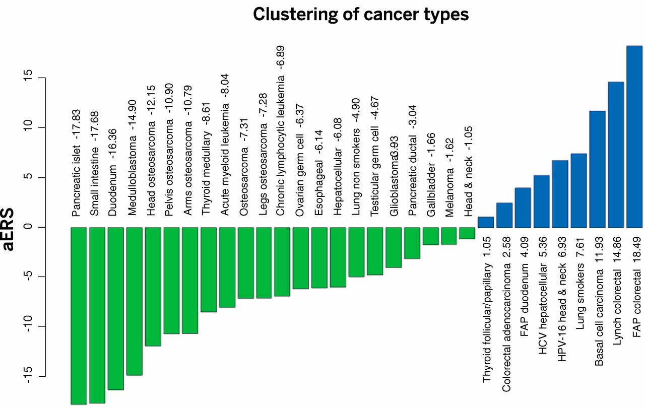 Figure 2 from Tomasetti and Vogelstein (2015). Cancer types are clustered by those where stochastic (replicative) factors dominate (green), versus those where environmental and inherited factors are substantial (blue). ERS - the "adjusted risk score" - is the product of the lifetime risk and the total number of stem cell divisions (log10 values). From the paper: "The adjusted ERS (aERS) is indicated next to the name of each cancer type. R-tumors (green) have negative aERS and appear to be mainly due to stochastic effects associated with DNA replication of the tissues’ stem cells, whereas D-tumors (blue) have positive aERS. Importantly, although the aERS was calculated without any knowledge of the influence of environmental or inherited factors, tumors with high aERS proved to be precisely those known to be associated with these factors."